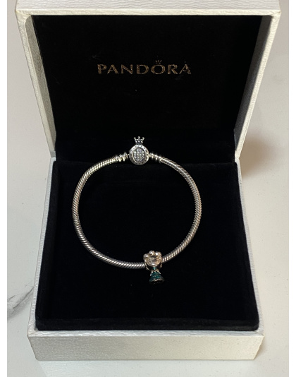 Charm Princesa Disney