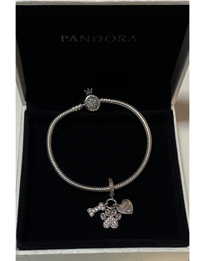 Charm mascota, huella de perro, mejor amigo Plata925